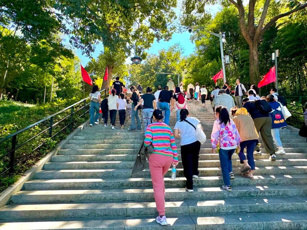 单日客流量突破3万人次！松江这里的梦幻森林之旅人气旺__单日客流量突破3万人次！松江这里的梦幻森林之旅人气旺